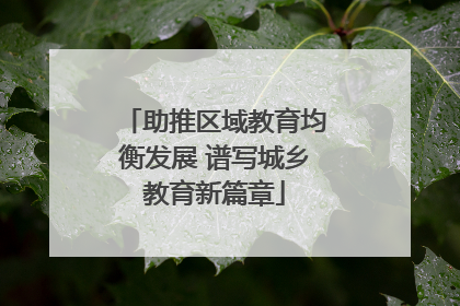 助推区域教育均衡发展 谱写城乡教育新篇章