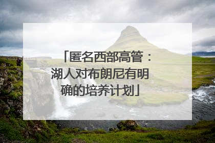 匿名西部高管：湖人对布朗尼有明确的培养计划