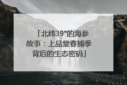 北纬39°的海参故事：上品堂春捕季背后的生态密码