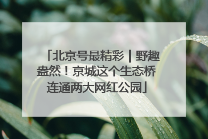 北京号最精彩｜野趣盎然！京城这个生态桥连通两大网红公园