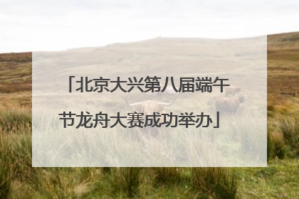 北京大兴第八届端午节龙舟大赛成功举办