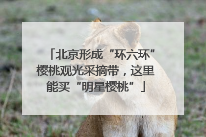 北京形成“环六环”樱桃观光采摘带，这里能买“明星樱桃”
