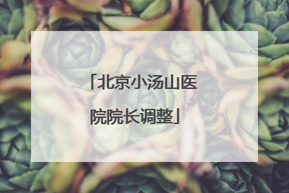 北京小汤山医院院长调整