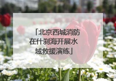 北京西城消防在什刹海开展水域救援演练