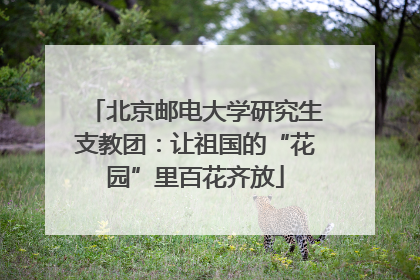 北京邮电大学研究生支教团：让祖国的“花园”里百花齐放