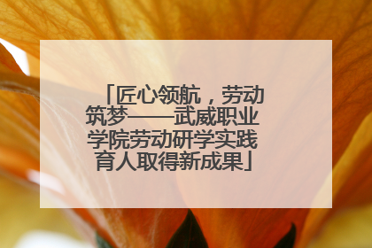 匠心领航，劳动筑梦——武威职业学院劳动研学实践育人取得新成果