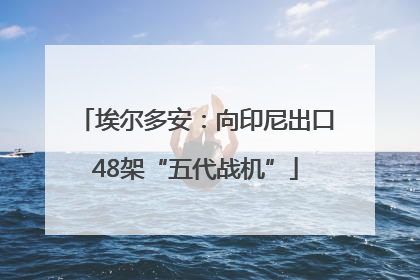 埃尔多安：向印尼出口48架“五代战机”