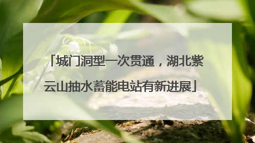 城门洞型一次贯通，湖北紫云山抽水蓄能电站有新进展