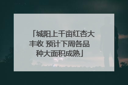 城阳上千亩红杏大丰收 预计下周各品种大面积成熟