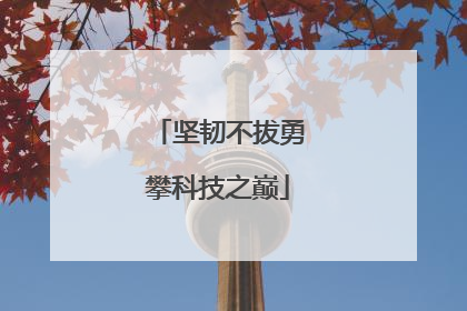 坚韧不拔勇攀科技之巅