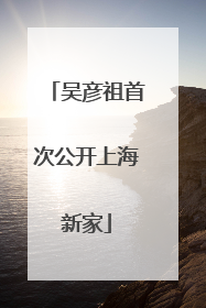 吴彦祖首次公开上海新家
