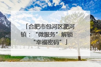 合肥市包河区淝河镇：“微服务”解锁“幸福密码”