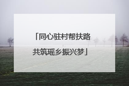 同心驻村帮扶路 共筑瑶乡振兴梦