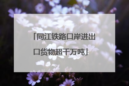 同江铁路口岸进出口货物超千万吨