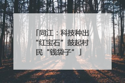 同江：科技种出“红宝石”鼓起村民“钱袋子”