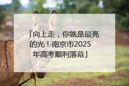 向上走，你就是最亮的光！南京市2025年高考顺利落幕