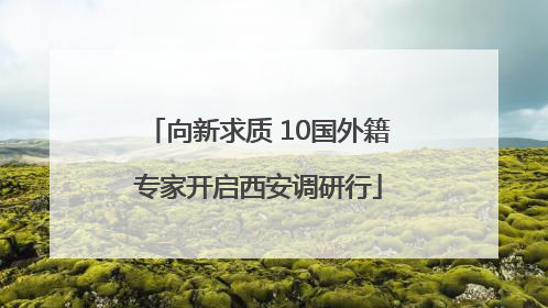 向新求质 10国外籍专家开启西安调研行