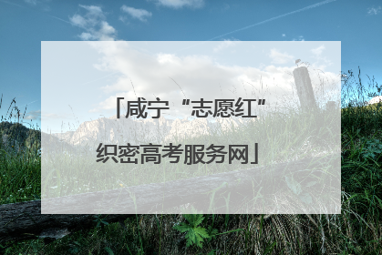 咸宁“志愿红”织密高考服务网