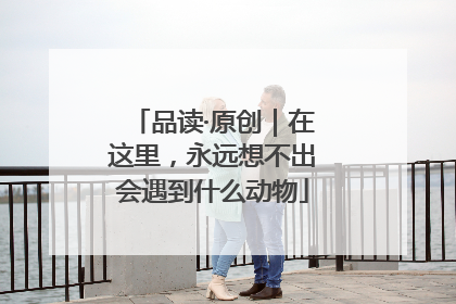品读·原创｜在这里，永远想不出会遇到什么动物