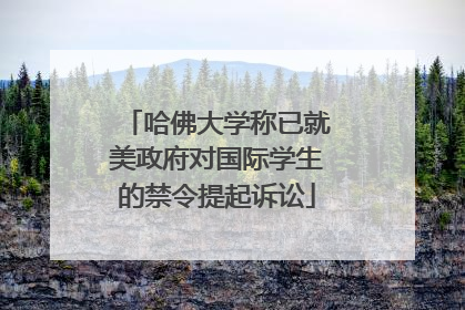 哈佛大学称已就美政府对国际学生的禁令提起诉讼