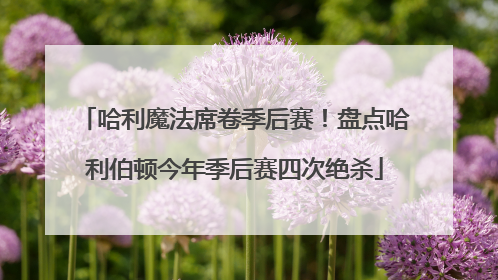 哈利魔法席卷季后赛！盘点哈利伯顿今年季后赛四次绝杀