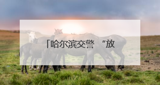 哈尔滨交警 “放大招”！道路交通设施全面升级，出行体验直线飙升