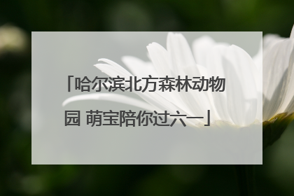 哈尔滨北方森林动物园 萌宝陪你过六一
