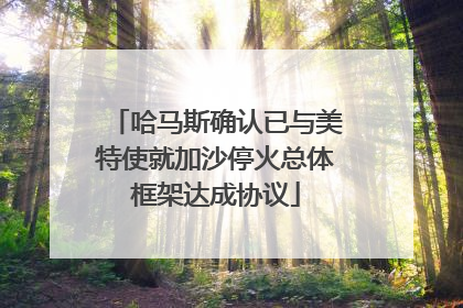 哈马斯确认已与美特使就加沙停火总体框架达成协议
