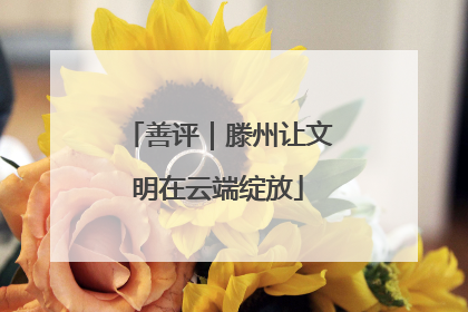善评｜滕州让文明在云端绽放