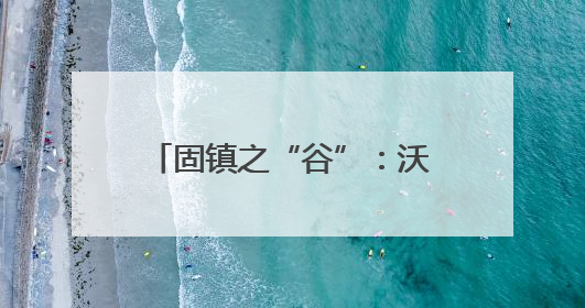 固镇之“谷”：沃野“智”变筑粮安
