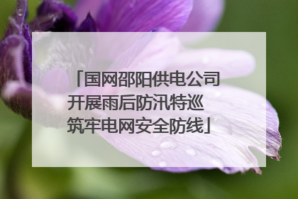 国网邵阳供电公司开展雨后防汛特巡 筑牢电网安全防线