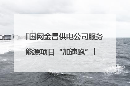 国网金昌供电公司服务能源项目“加速跑”