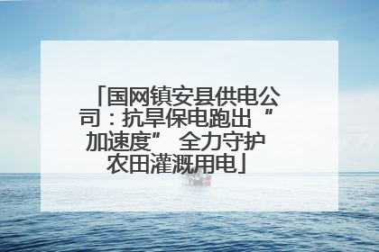 国网镇安县供电公司：抗旱保电跑出“加速度” 全力守护农田灌溉用电