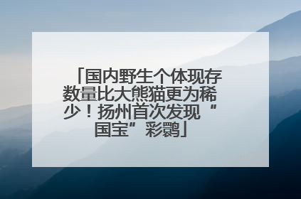 国内野生个体现存数量比大熊猫更为稀少！扬州首次发现“国宝”彩鹮