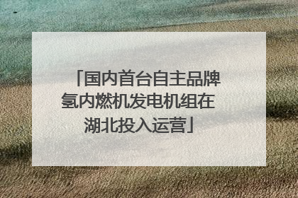 国内首台自主品牌氢内燃机发电机组在湖北投入运营