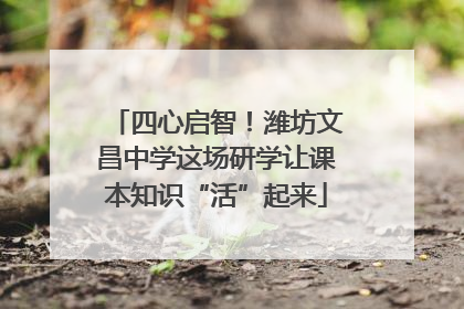 四心启智！潍坊文昌中学这场研学让课本知识“活”起来