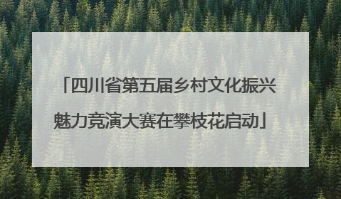 四川省第五届乡村文化振兴魅力竞演大赛在攀枝花启动