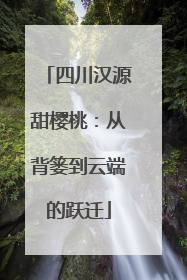 四川汉源甜樱桃：从背篓到云端的跃迁