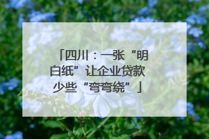 四川：一张“明白纸”让企业贷款少些“弯弯绕”
