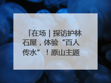 在场｜探访护林石屋，体验“百人传水”！原山主题党日活动“走新”更“走心”