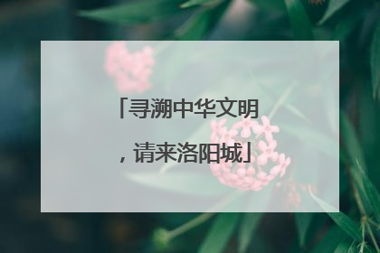 寻溯中华文明，请来洛阳城