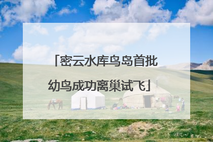 密云水库鸟岛首批幼鸟成功离巢试飞