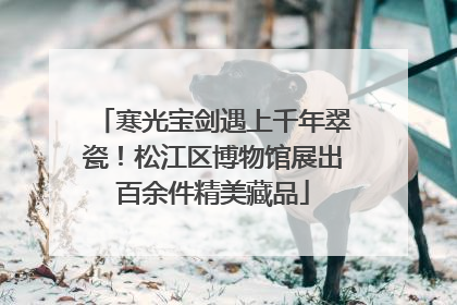 寒光宝剑遇上千年翠瓷！松江区博物馆展出百余件精美藏品