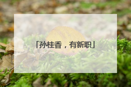 孙桂香，有新职