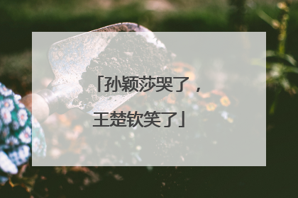 孙颖莎哭了，王楚钦笑了