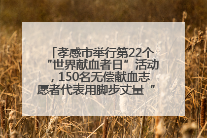 孝感市举行第22个“世界献血者日”活动，150名无偿献血志愿者代表用脚步丈量“中华孝爱第一山”