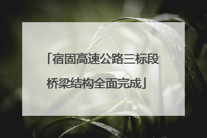 宿固高速公路三标段桥梁结构全面完成