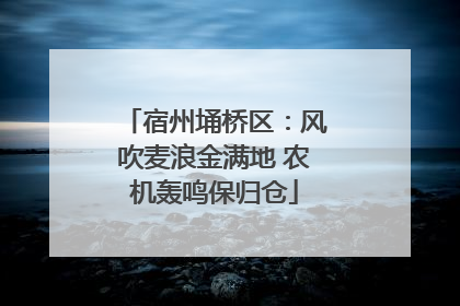 宿州埇桥区：风吹麦浪金满地 农机轰鸣保归仓