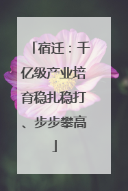 宿迁：千亿级产业培育稳扎稳打、步步攀高