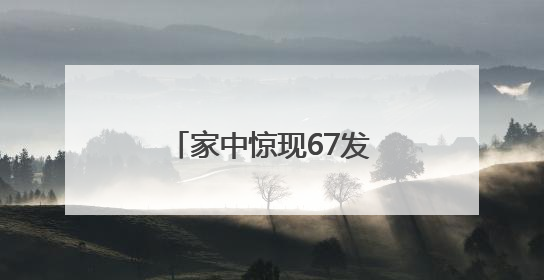 家中惊现67发子弹，遂宁两兄弟主动来到派出所